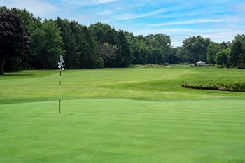 A golf course with a green and a flag on the left.